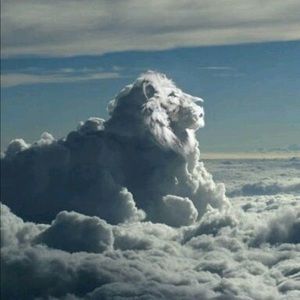 Meet your Posher, Bobby